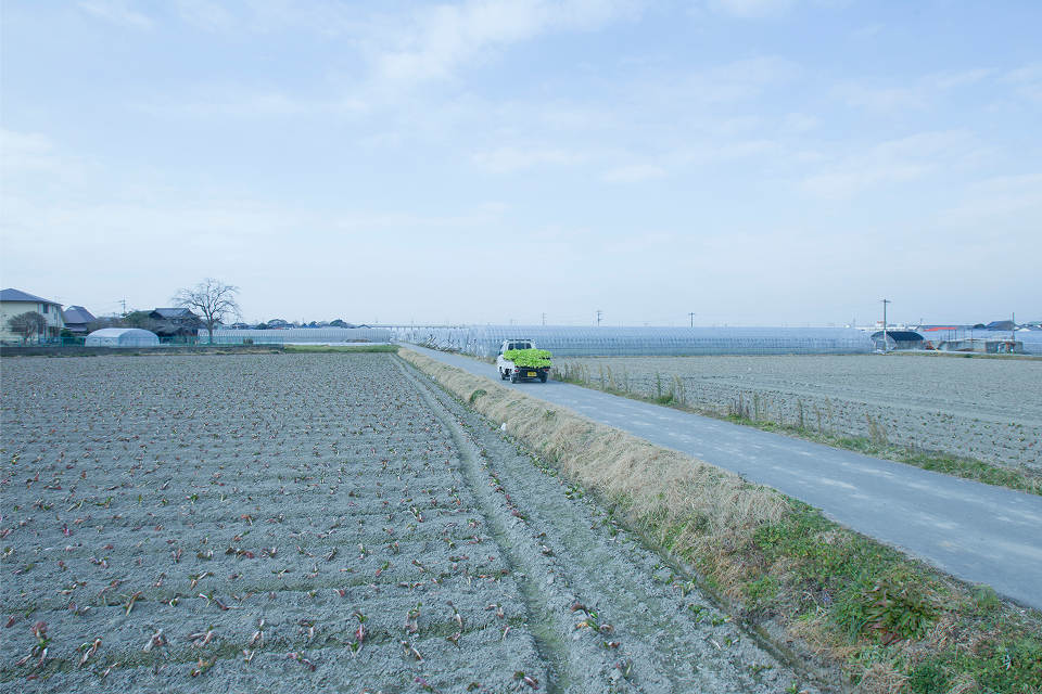 地元の特産品を活用してみやま市の地域発展を目指す